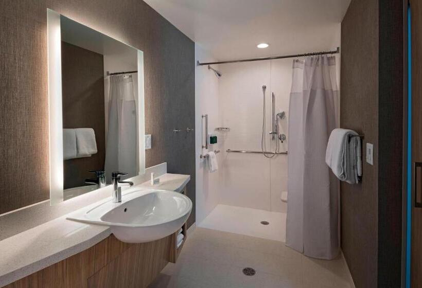 Люкс, Springhill Suites By Marriott Denver West/golden