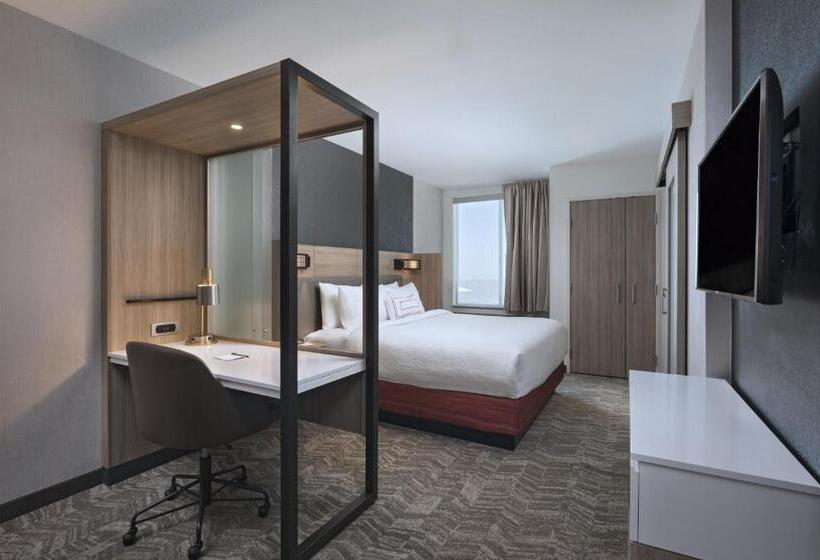 Люкс Кровать Кинг, Springhill Suites By Marriott Denver West/golden