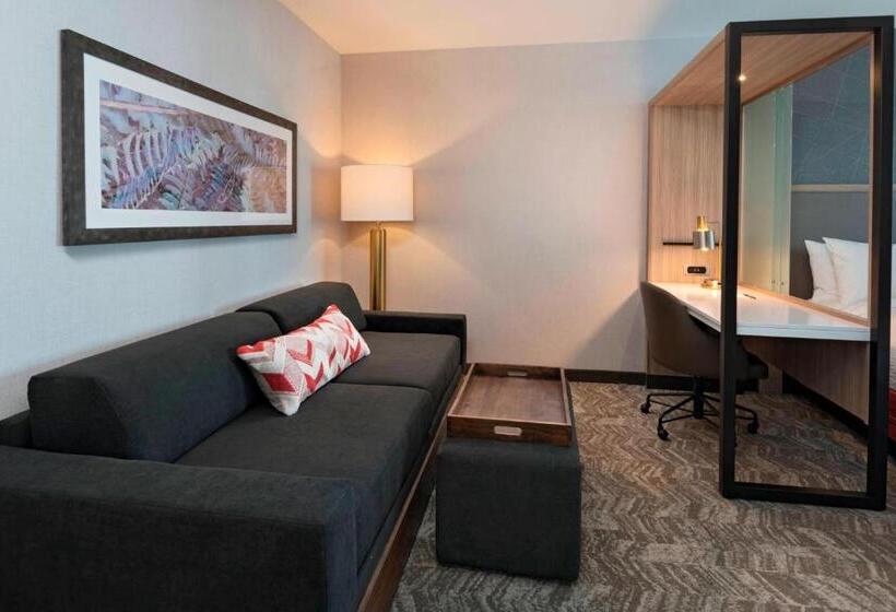 Люкс Адаптированный для Инвалидов, Springhill Suites By Marriott Denver West/golden