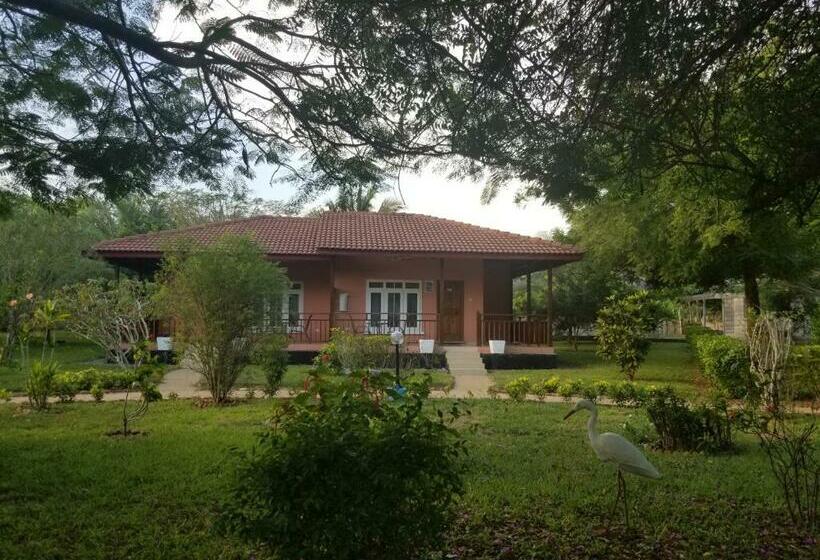 Номер Стандарт Вид на Сад, Charlestina Beach Resort