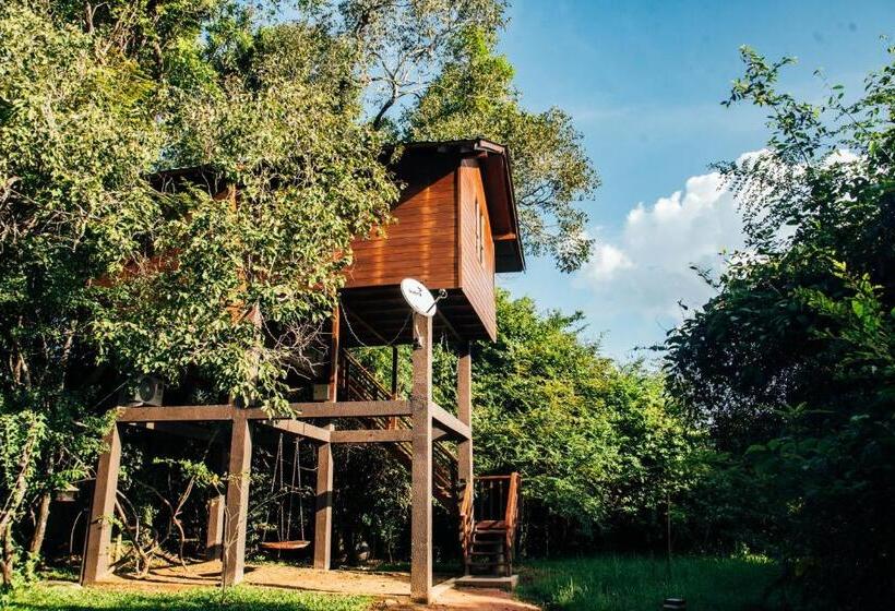سوییت با چشم‌انداز کوه, Sigiriya King S Resort