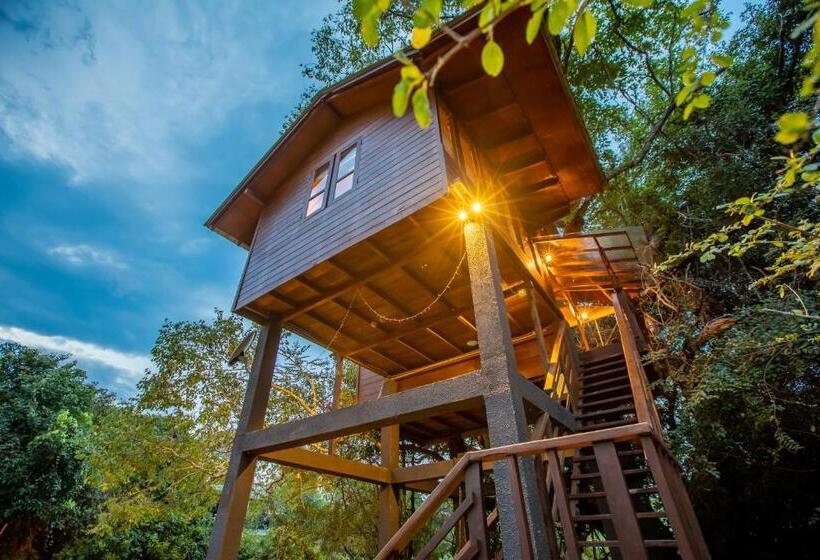 سوییت با چشم‌انداز کوه, Sigiriya King S Resort