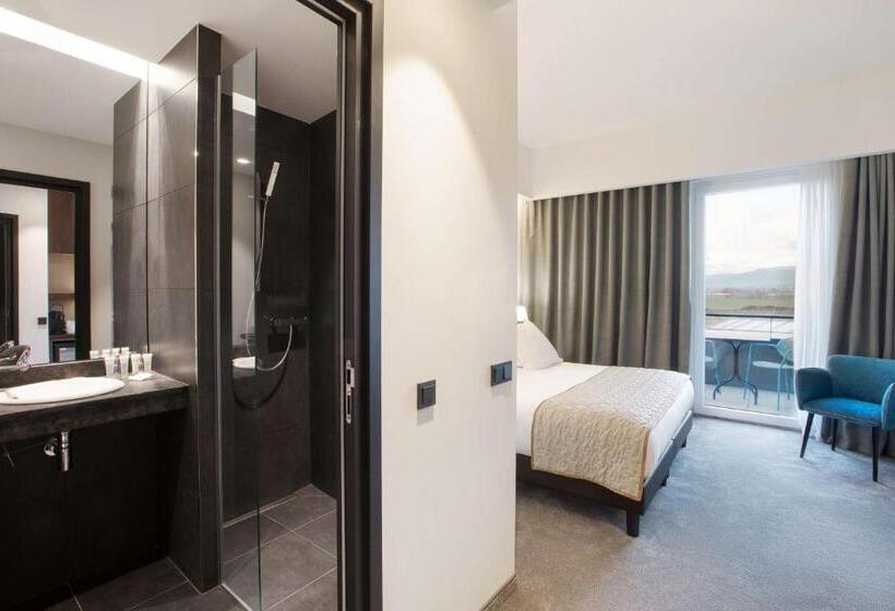 Номер Deluxe с Видом, Best Western Plus Hotel & Restaurant Les Humanistes Colmar Nord