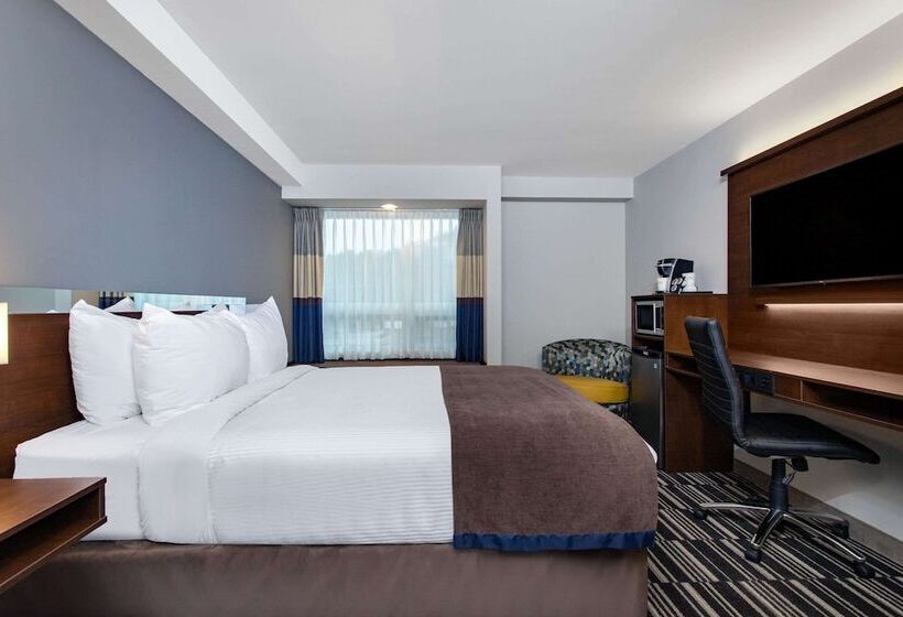 비즈니스룸, Microtel Inn & Suites By Wyndham Mont Tremblant