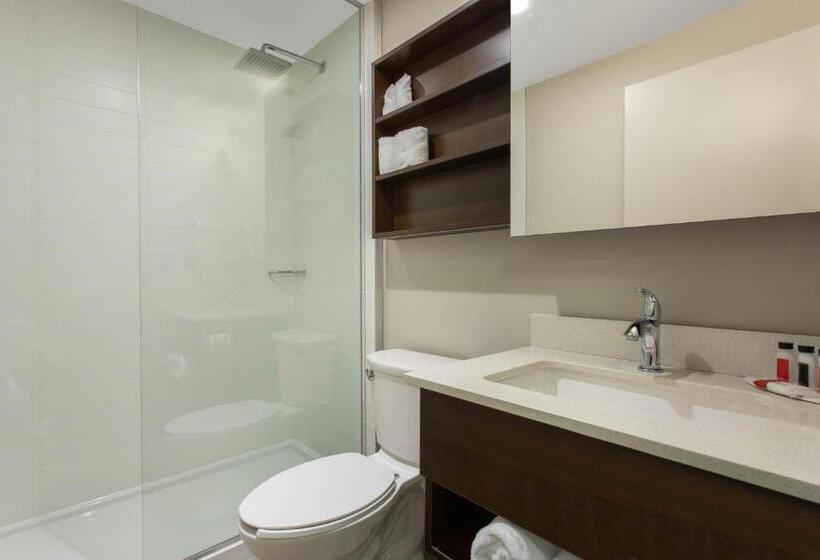비즈니스룸, Microtel Inn & Suites By Wyndham Mont Tremblant