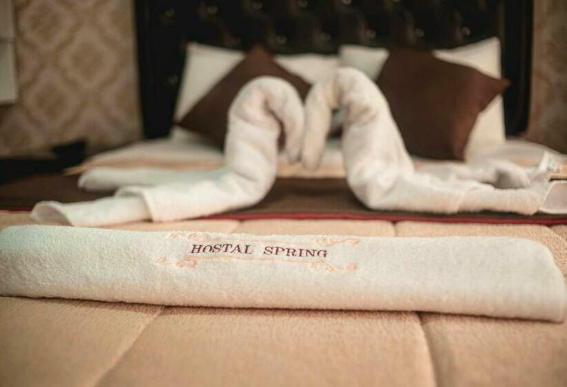 스탠다드 룸, Hostal Spring Ii