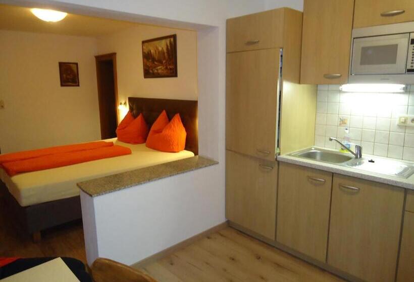 Апартаменты 1 Спальня, Gästehaus Birkenheim