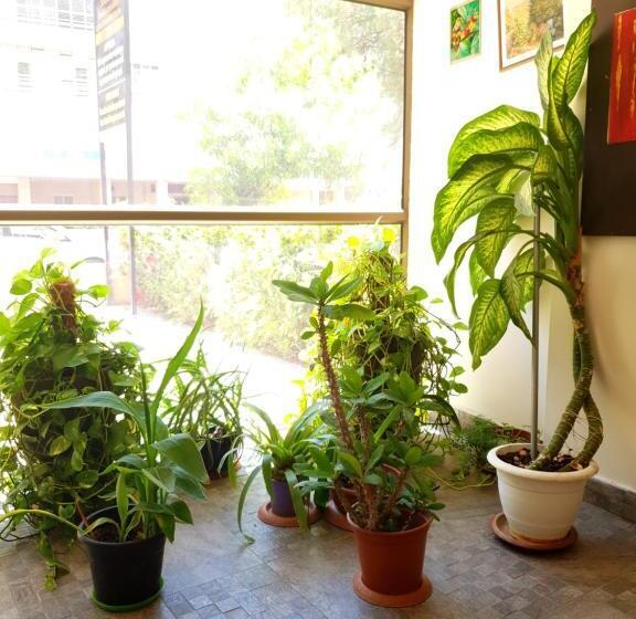 Studio Familial, David Hameleh House