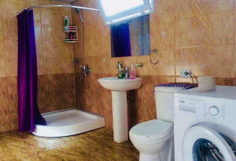 تختخواب در اتاق مشترک, Hostel Forrest