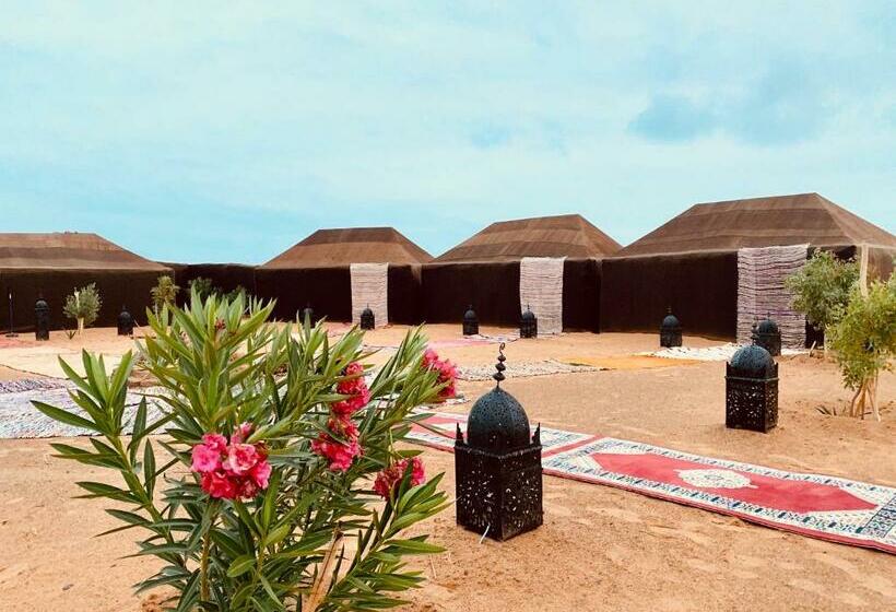 Tienda Estándar, Sahara Wellness Camp