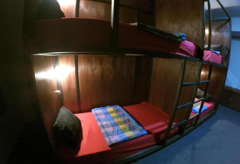 标准四人间共用浴室, Local Hostel Amed