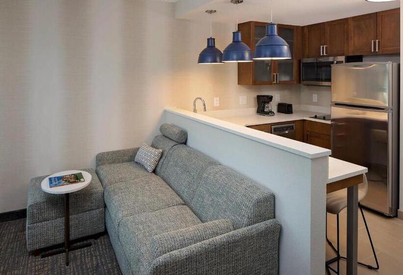 Студио Стандарт Кровать Кинг, Residence Inn By Marriott Charleston Summerville