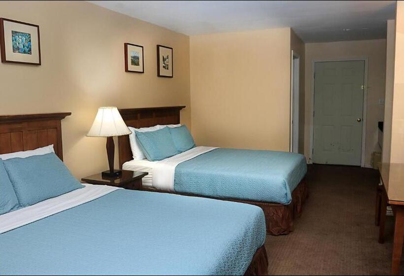 Номер Deluxe, Antler Motel