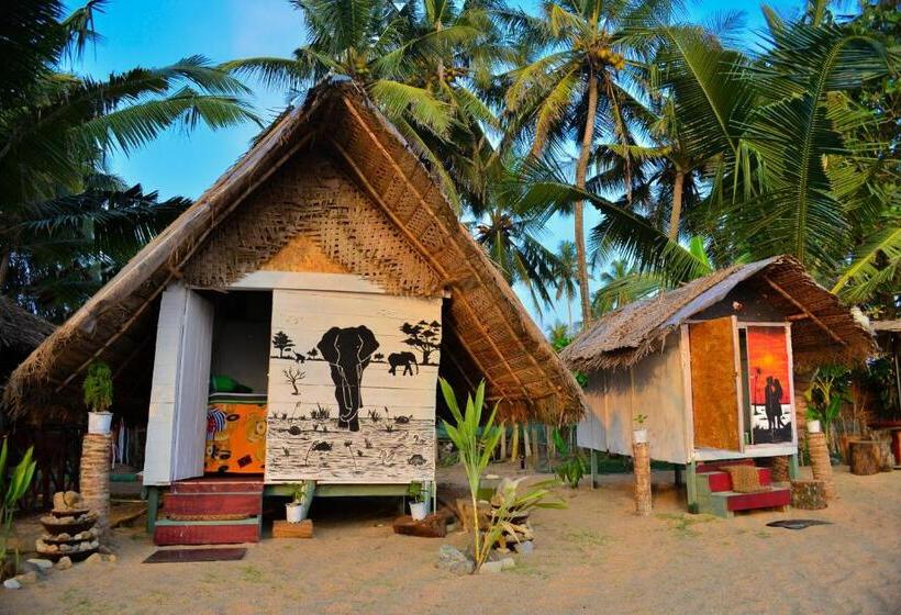Quarto Economy, Rosa Shashi Cabanas