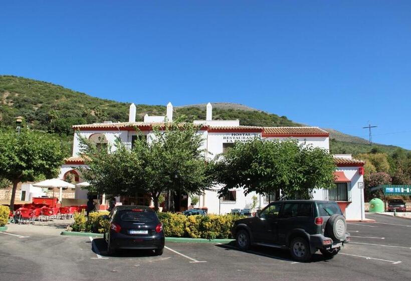 Номер Стандарт, Hostal La Zamora