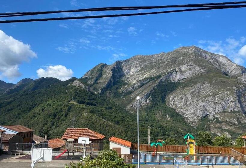Номер Стандарт, La Cuna Del Sella