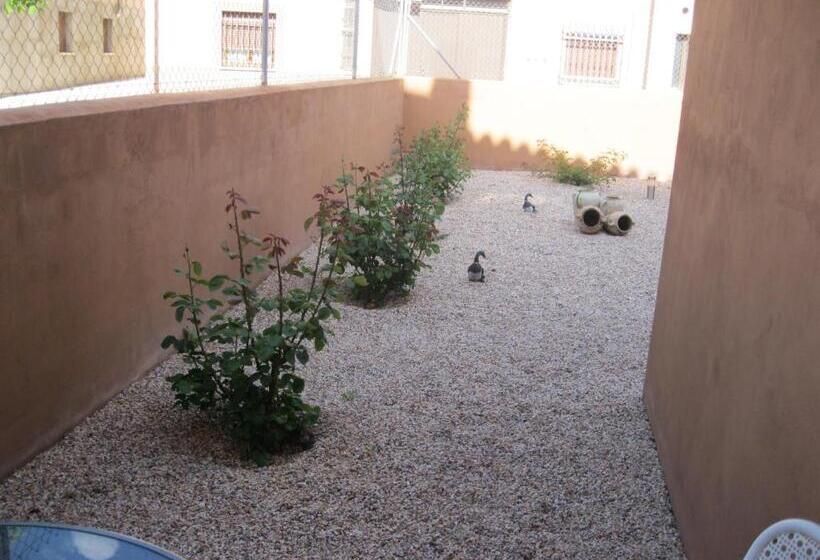 Номер Стандарт, Hostal Sol De La Vega