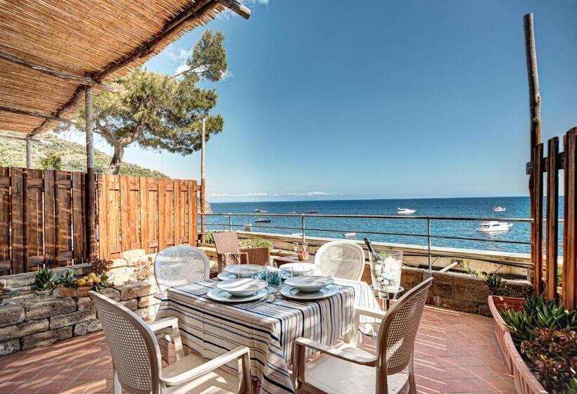 آپارتمان 1 خوابه همکف, Belmare Residence On The Beach
