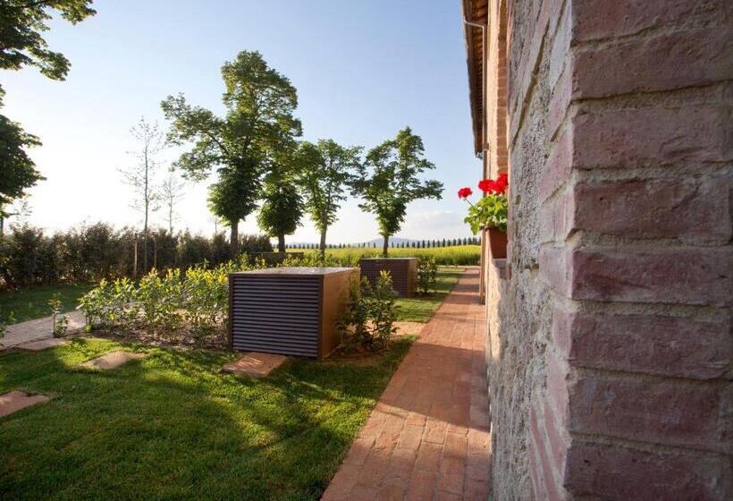 Студия Стандарт, Casale San Galgano