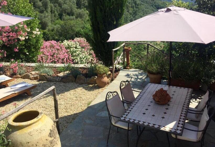Люкс Повышенной Комфортности, Casa Carpe Diem A Villa Barca