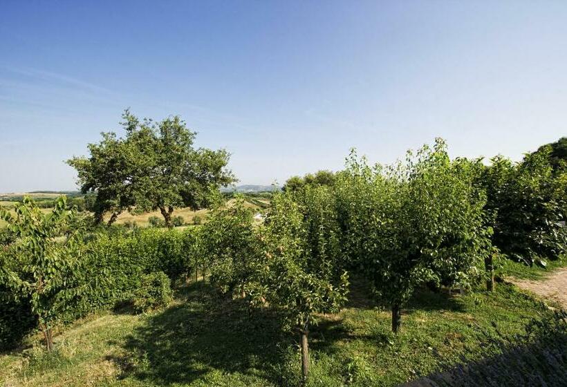 Апартаменты 1 Спальня, Agriturismo I Roseti