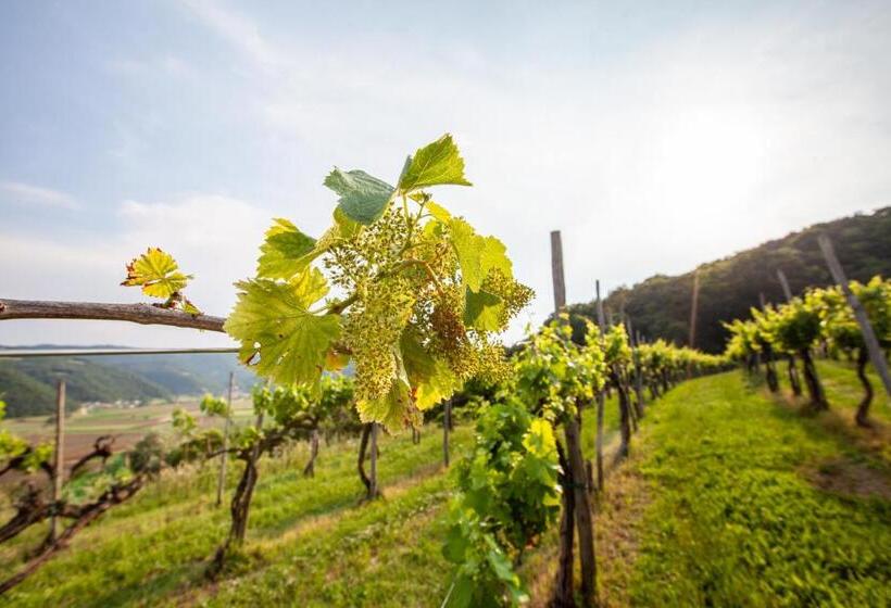 اتاق استاندارد, Fattoria Le Vegre