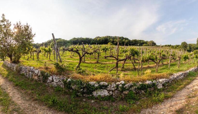 اتاق استاندارد چهار تخته, Fattoria Le Vegre
