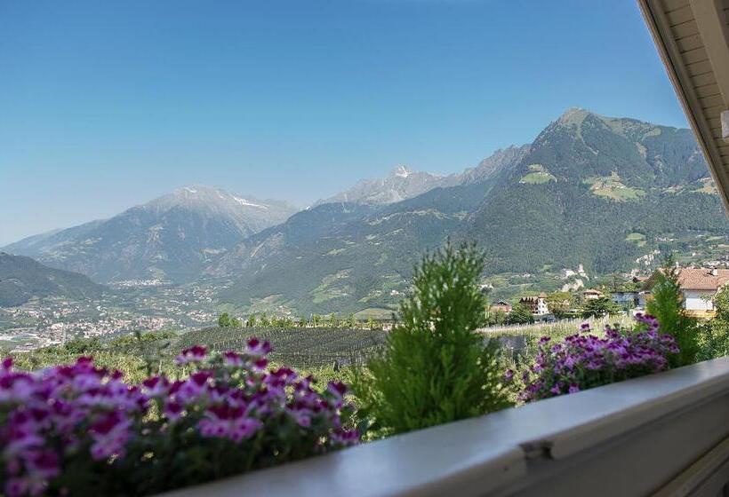 Номер Стандарт, Pension Etschland