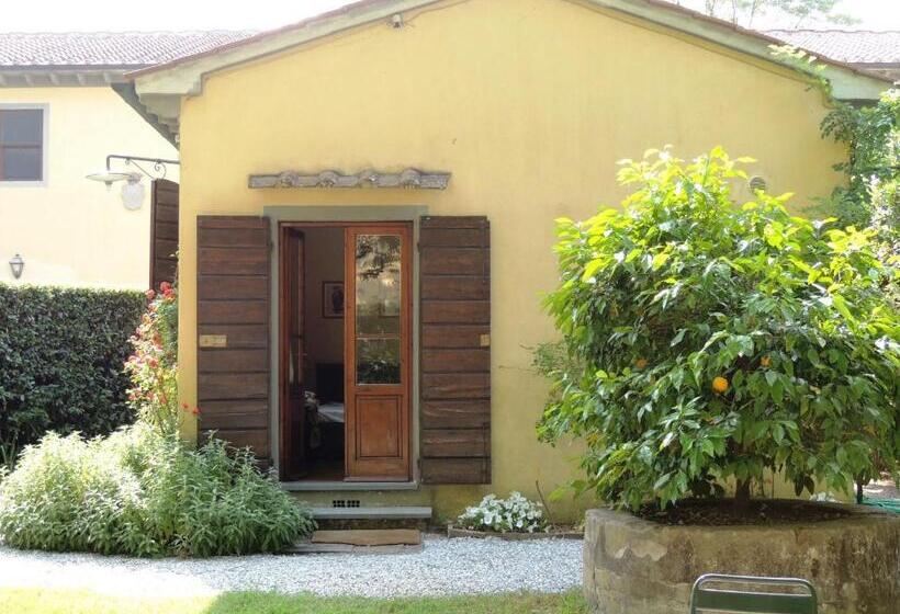 Студия Стандарт, Fattoria Di Migliarino