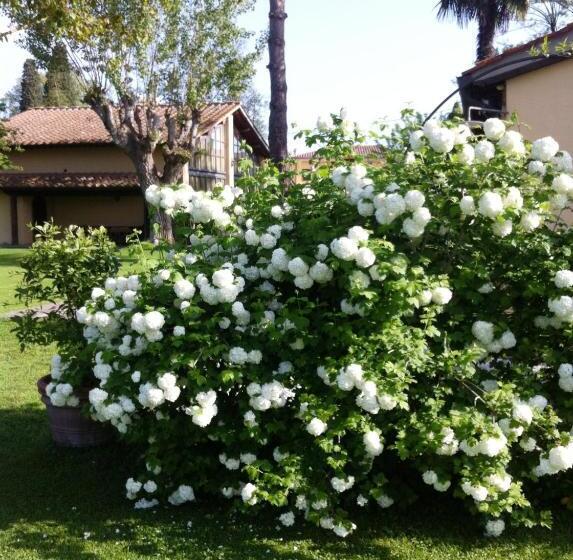 Студия Стандарт, Fattoria Di Migliarino