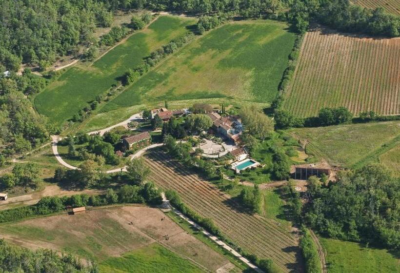 수피리어 룸, Une Campagne En Provence