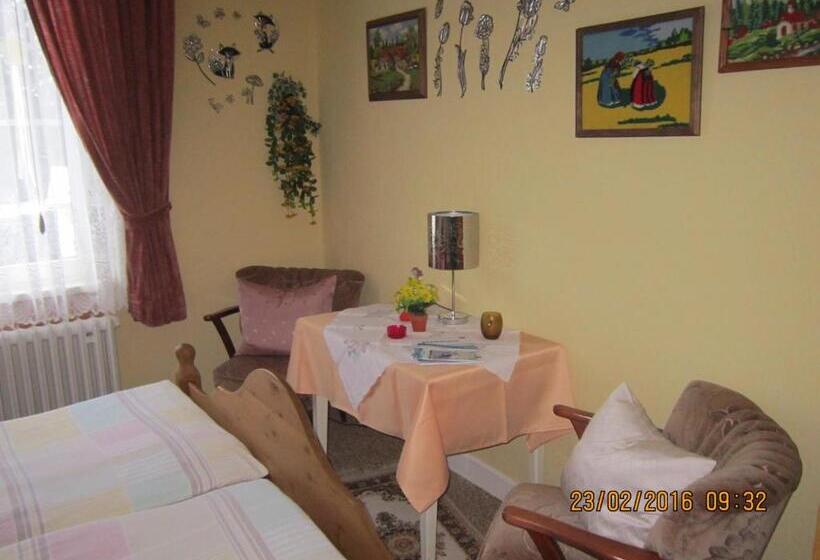 Номер Стандарт, Pension Haus Zur Orke