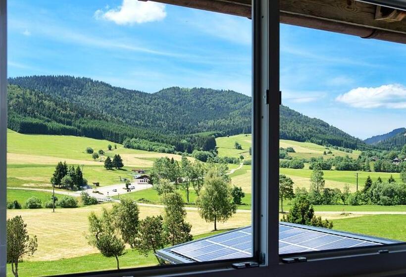 Номер Deluxe с Балконом, Gasthaus Löwen