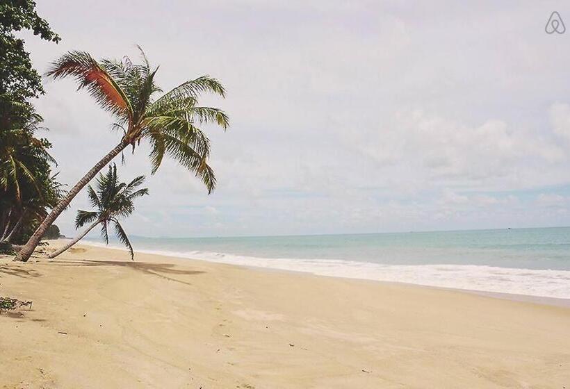 Бунгало Стандарт, Thai Muang Resort