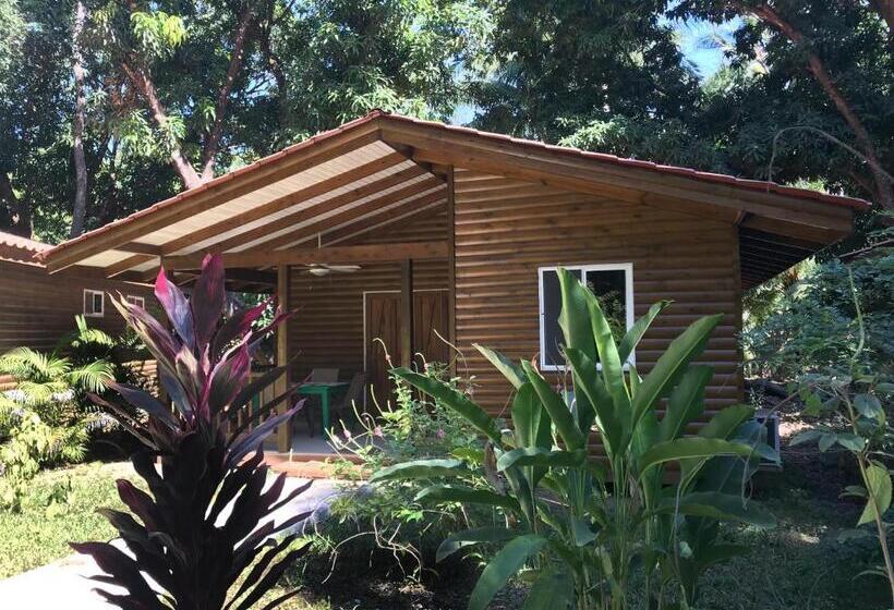Шале 1 Спальня, Boho Lodge Montezuma L&l