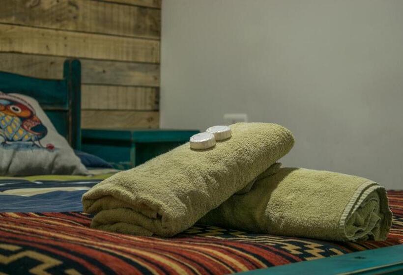 Номер Стандарт, Puma House