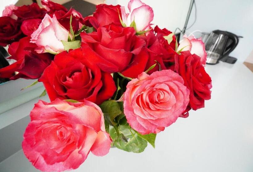 اتاق استاندارد برای معلولان, Den Burg