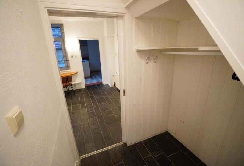 آپارتمان 1 خوابه با تراس, Den Burg