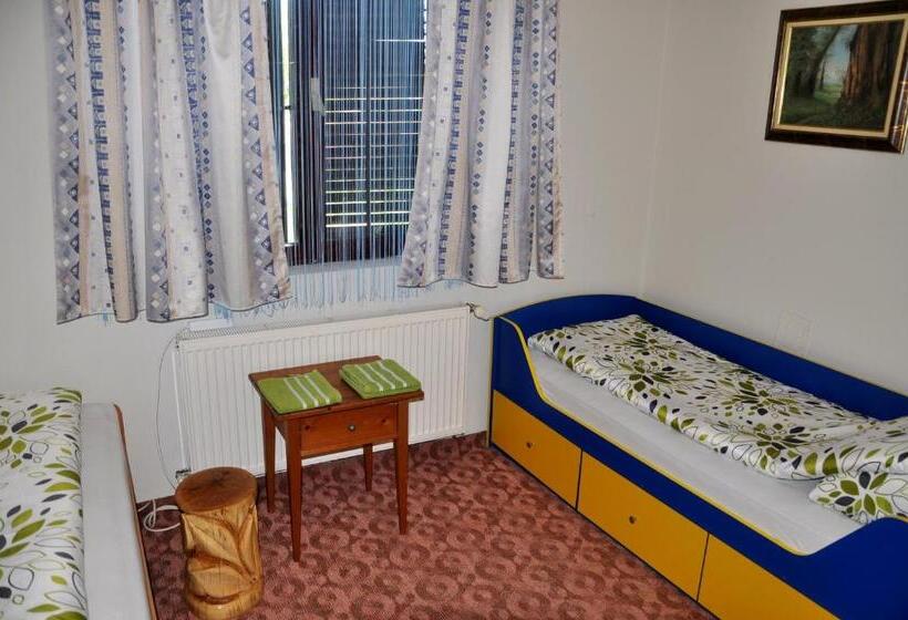 اتاق استاندارد با سرویس بهداشتی مشترک, Guesthouse Djurić