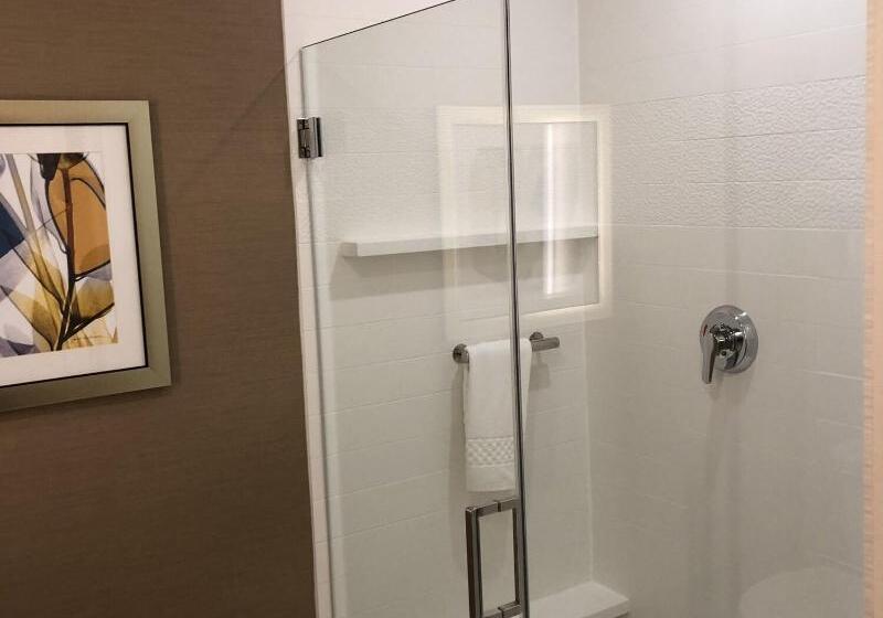 Стандартный Номер Кровать Кинг, Fairfield Inn & Suites By Marriott Decorah