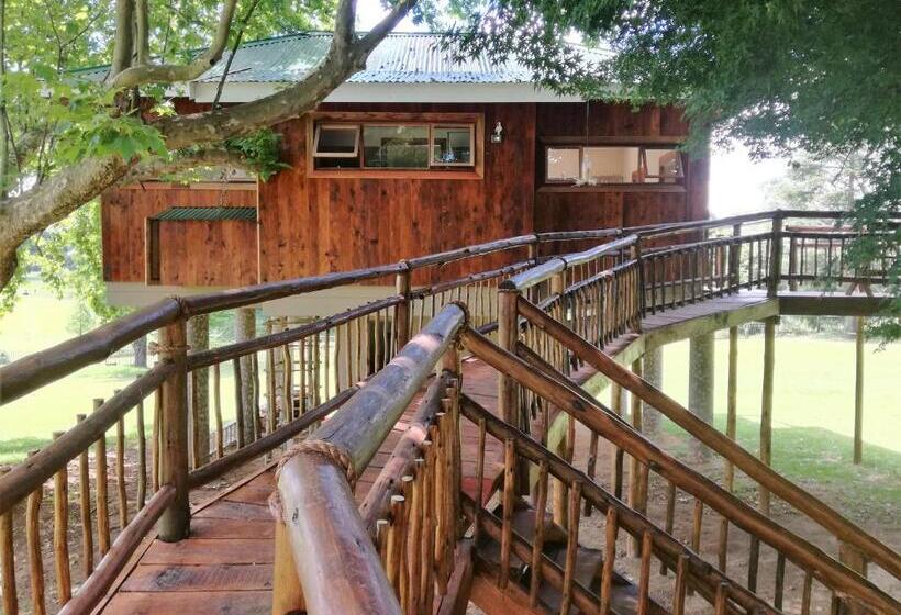 Стандартный Номер Кровать Кинг, Sani Window B&b And Self Catering