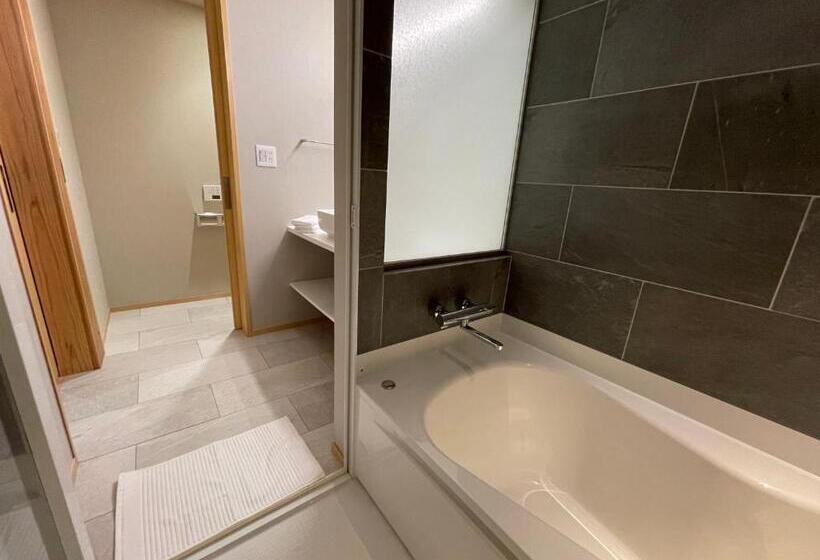 Номер Deluxe, Kansai Airport Hotel Pine Villa
