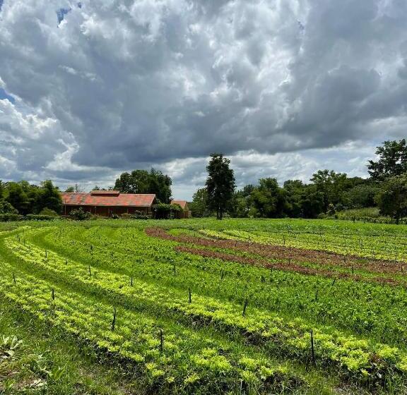 Стандартный Номер Кровать Кинг, Coolliving Farmhouse Organic