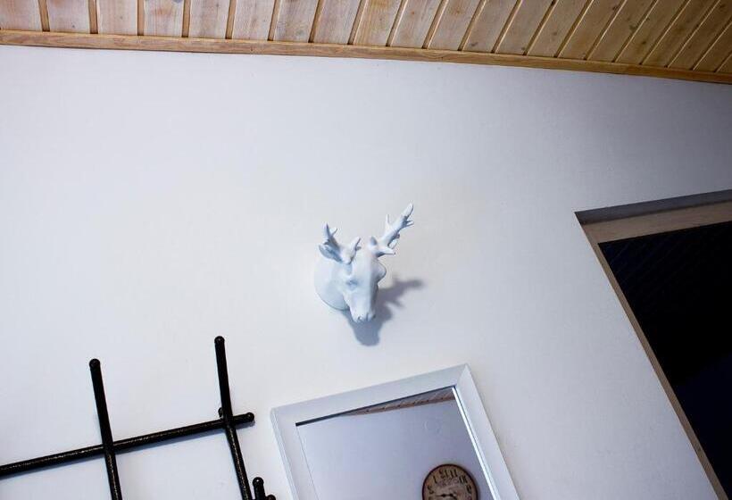 اتاق استاندارد با تخت بزرگ, White & Quiet Apartment House