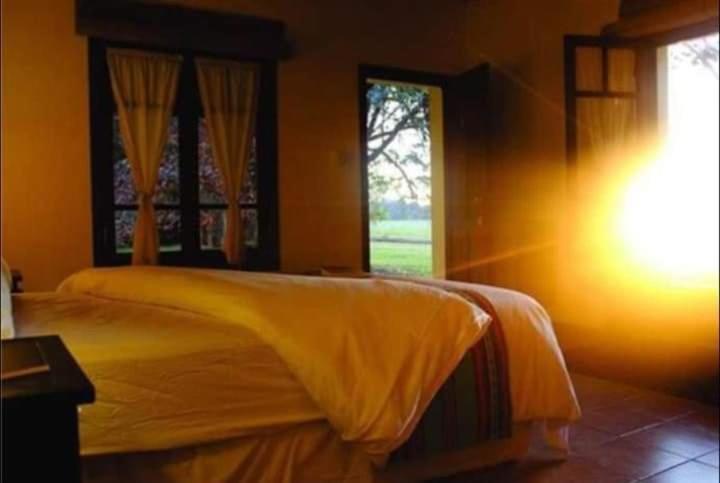 スーペリアールーム, La Perdida Casa De Campo