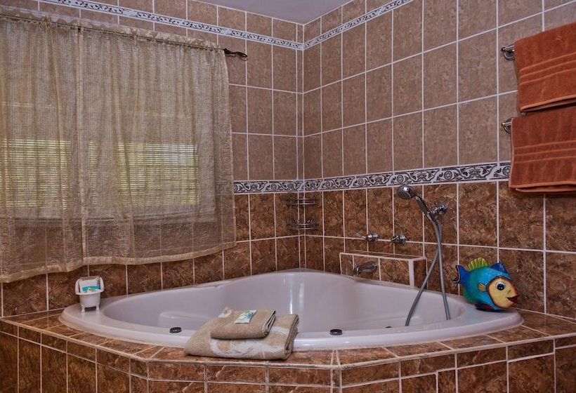 수피리어 룸 가든 전망, Rock Farm Guest House