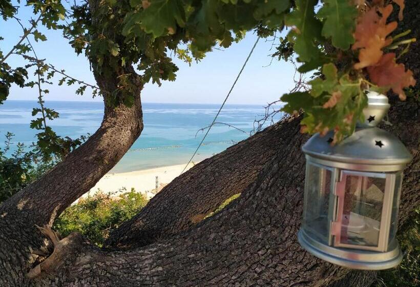 庭の見えるシングルルーム, Relais Il Giardino Fra Gli Ulivi