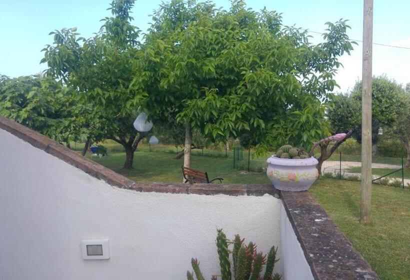 Одноместный Номер Вид на Сад, Relais Il Giardino Fra Gli Ulivi