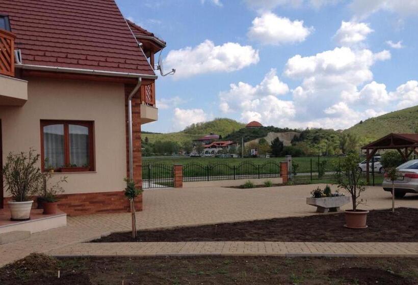 Апартаменты 1 Спальня Нижний Этаж, Vidor Vendégház