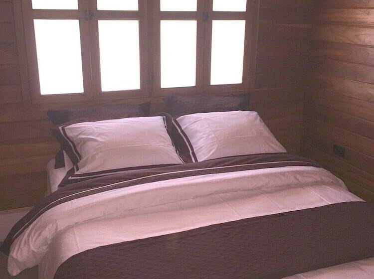 Quarto Estandar, Casa Aura: Beachfront Premium Hostel